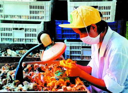 2003中山农灾年夺收业呈现十大亮点