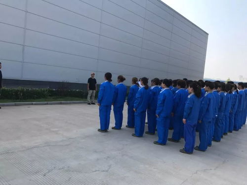 熔炼团队 凝心聚力 华裕国际家禽孵化中心拓展训练