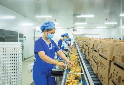 邯郸日报 品质为本 专注创新 华裕打造国际一流农业产业集团