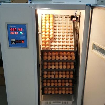 家用小型孵化机1056枚鸡鸭鹅鸽子全自动三用孵化器家禽孵化设备