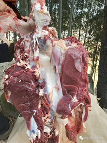 岳西人看过来,这才是正宗本地乡下原生态黄牛肉 黑毛猪 在这里买...