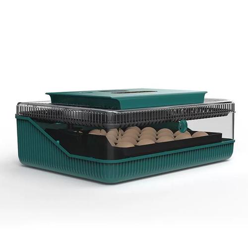 工厂直供25枚跨境新品全自动孵化机家禽爬宠小鸡鸟鸭鹦鹉孵化器