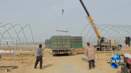 富强宏图的鸭子吃上了“科技饭”