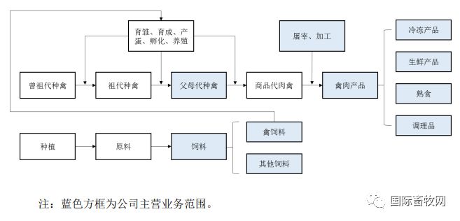 家禽巨头江苏益客食品创业板上市,募资10亿元主攻肉鸭产业|养殖户|饲