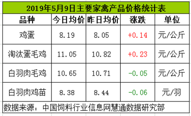 鸡蛋、淘鸡继续偏强 白羽肉鸡、肉鸡苗高位震荡