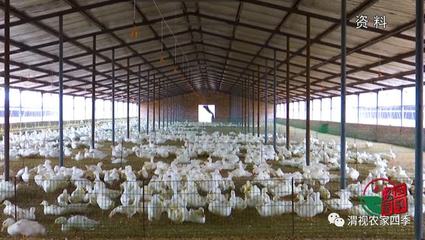 渭南市农业产业(企业)复工率达96.6%