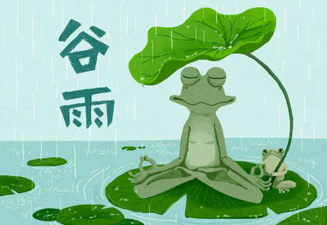 芳菲四月,谷雨节气到了 看看大忙季节,都忙什么 农谚怎么说 庄稼 水稻 种植 网易订阅