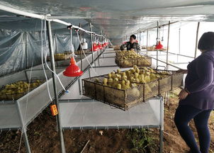 农业 商情资讯 全国各地行业资讯