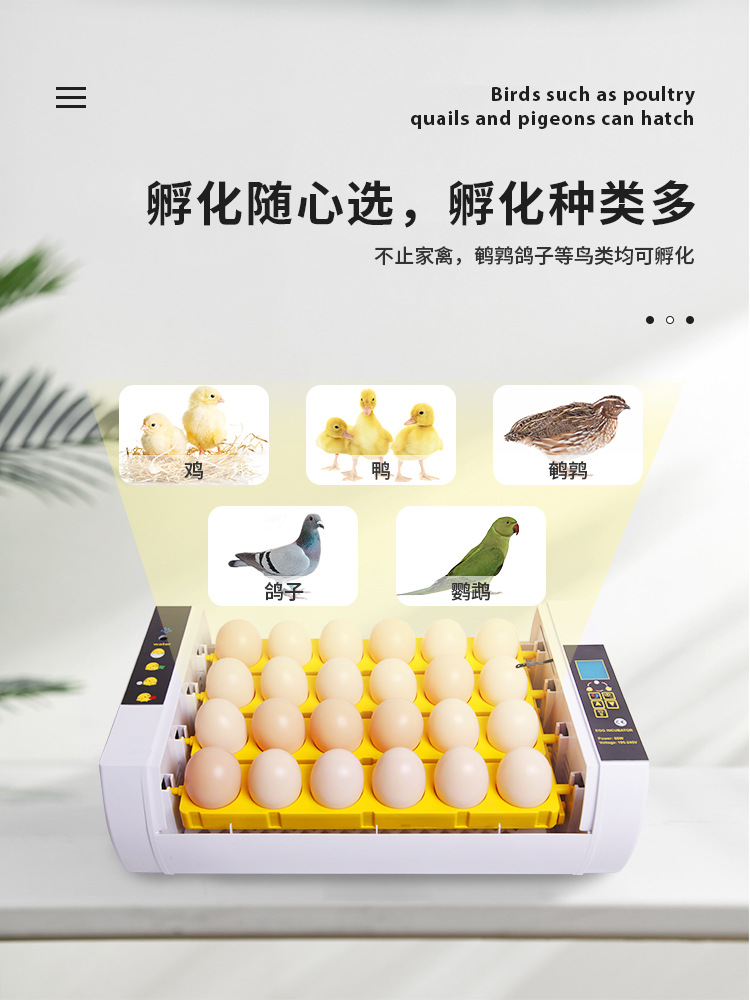 小型家用24枚小鸡孵化器 轻松开启家庭养殖之旅