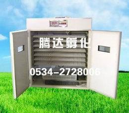 【鸡鸭鹅孵化设备】_鸡鸭鹅孵化设备价格_鸡鸭鹅孵化设备批发_鸡鸭鹅孵化设备供应商-搜了网鸡鸭鹅孵化设备产品搜索