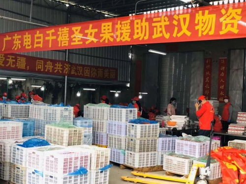 疫情面前有大爱,广东农企在行动 家禽 水产品 蔬菜 陈皮 奶产品等驰援湖北