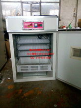 小型家禽孵化机 从图片看功能，掌握孵化要诀